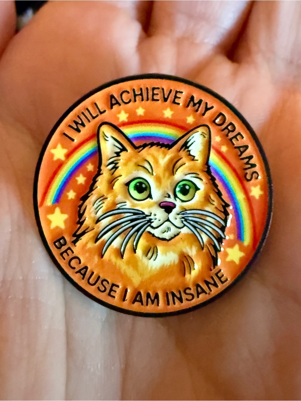 New Cat Kitten Enamel Pin “I Will Achieve My Dreams Because I’m Insane” Cat Lady